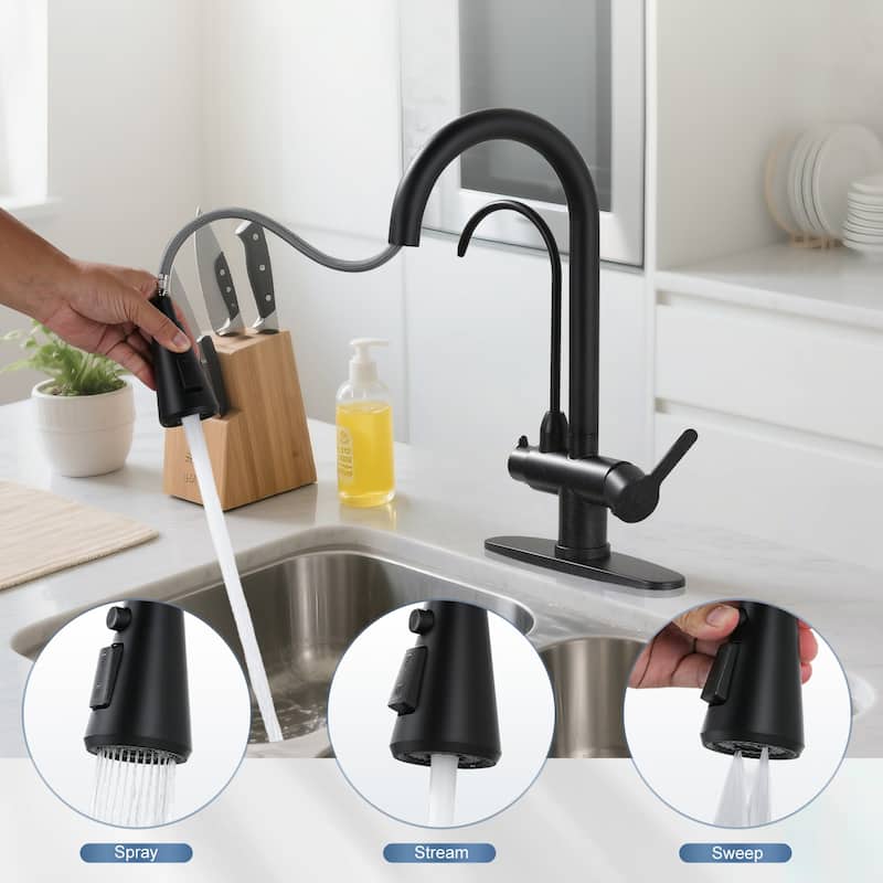 WOWOW 3 Function Pull Down Sprayer kitchen Faucet with Filter Spout