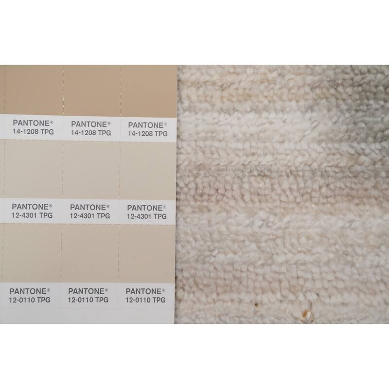 Hand Knotted Oriental Viscose Silk Carpet Tribal Animal Pictorial Beige & Ivories Gabbeh Area Rug - 9' 9'' X 9' 11''