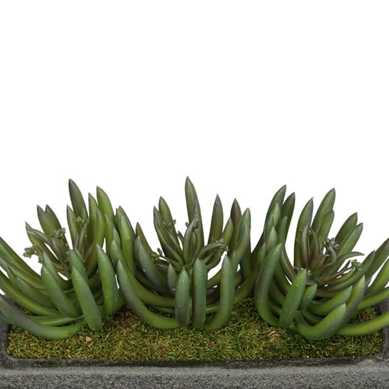 Faux Senecio Garden in Black Sandy-Texture Ceramic Vase