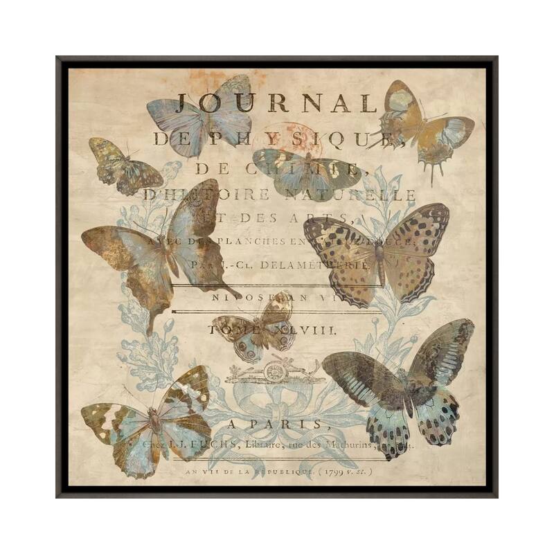 iCanvas "Papillon I" by Deborah Devellier Framed - Charcoal - 12x12