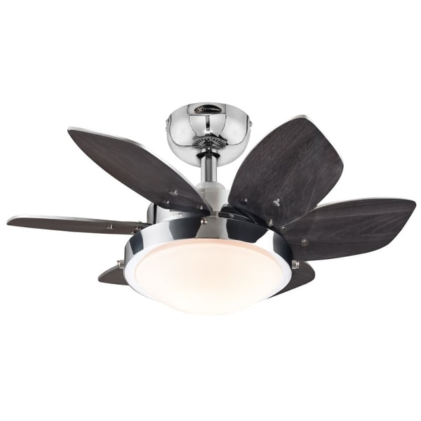 Westinghouse 7863100 Quince 24" 6 Blade Hanging Indoor Ceiling Fan with Reversible Motor, Blades, Light Kit, and Down Rod