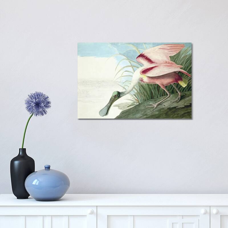 iCanvas "Roseate Spoonbill, The Birds Of America" by John J. Audubon, pub. 1827-38" by John James Audubon Canvas Print - 12x18x1.5