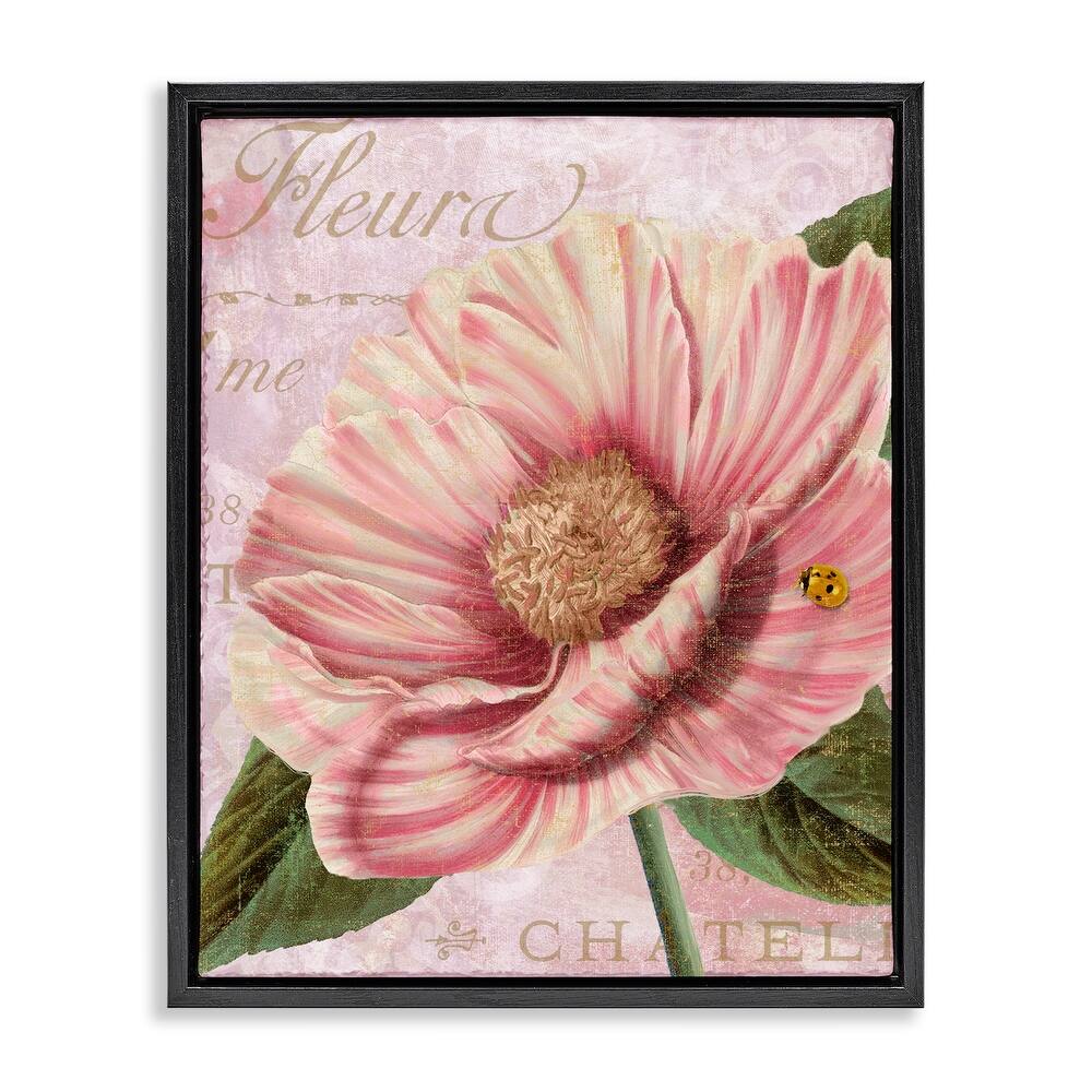 Stupell French Flower & Ladybug Framed Floater Canvas Wall Art Design By Sasha