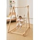 preview thumbnail 12 of 11, Spruce - Baby and Toddler Foldable Wooden Swing Set