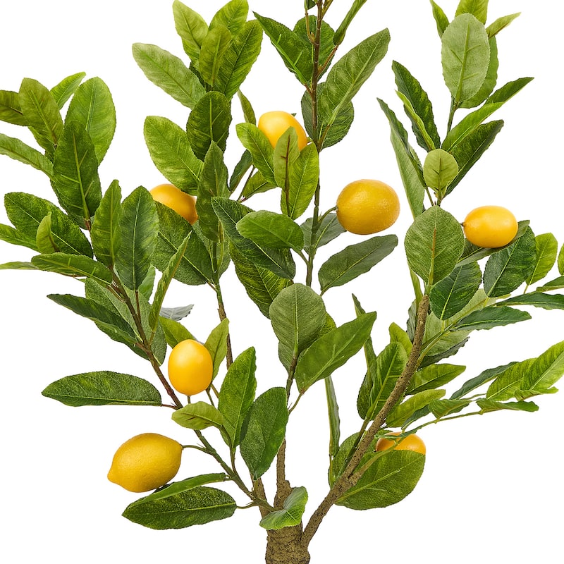 3' Potted Tuscan Lemon Tree