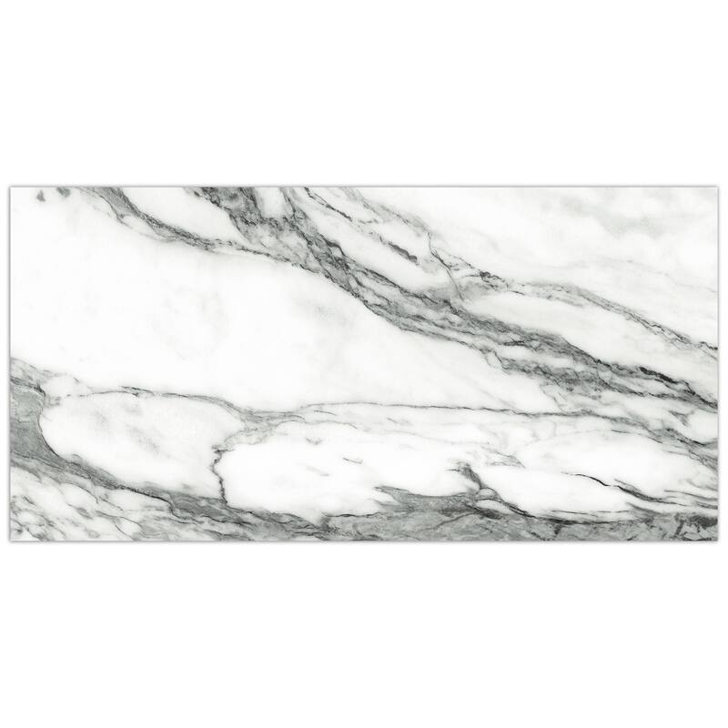 Merola Tile Touche Zebre 11-3/4" x 23-1/2" Porcelain Floor and Wall Tile