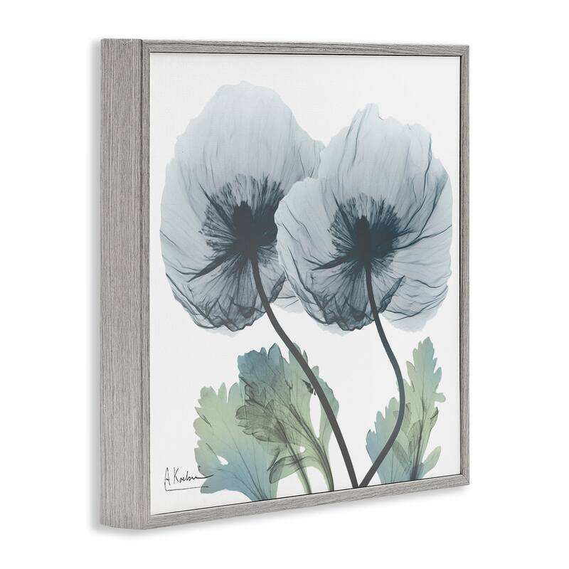 Stupell Double Modern Flower Blossoms Framed Giclee Art Design By Albert Koetsier