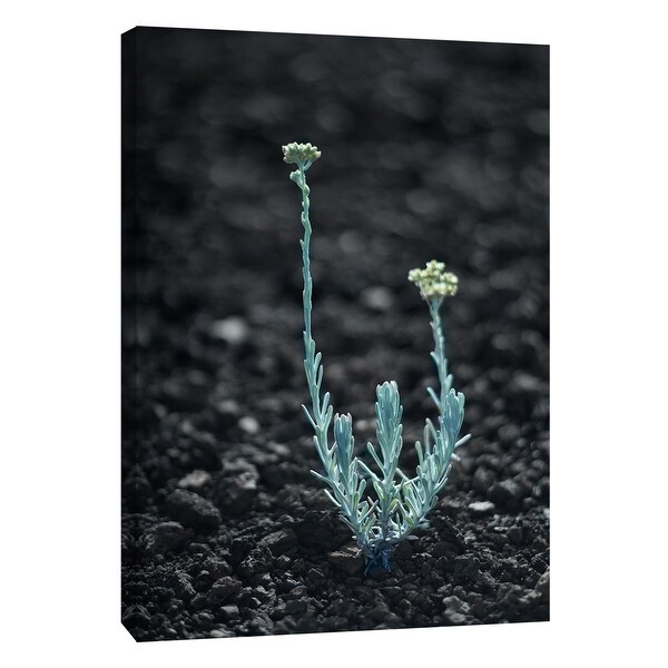 PTM Images 9-108357 PTM Canvas Collection 10" x 8" - "Hawaii Flower E" Giclee Flowers Art Print on Canvas