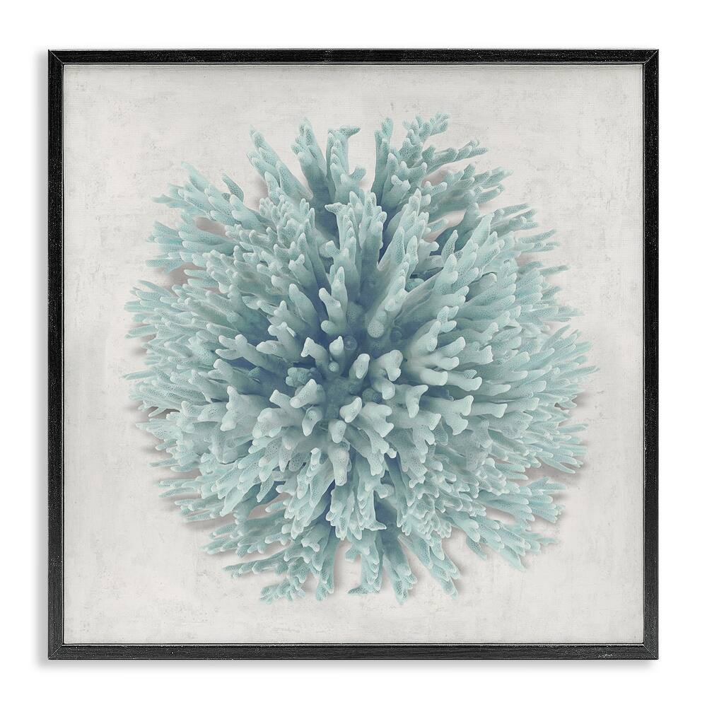 Stupell Coral Ball Blue Sea Beach Design,12 x 12, Framed Wall Art