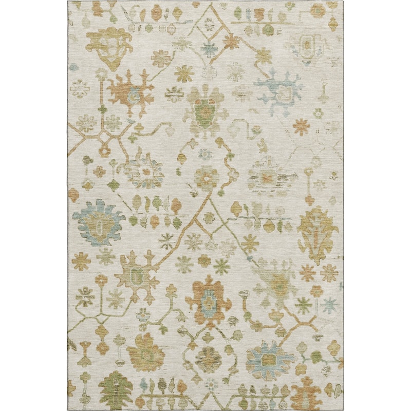 Premium Washable Super Soft Farmhouse Traditional Mayfield Rug