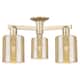 Option Champagne Bronze / Mercury