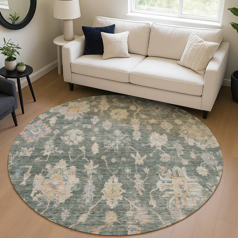 Machine Washable Indoor/ Outdoor Casual Traditional Chantille Rug