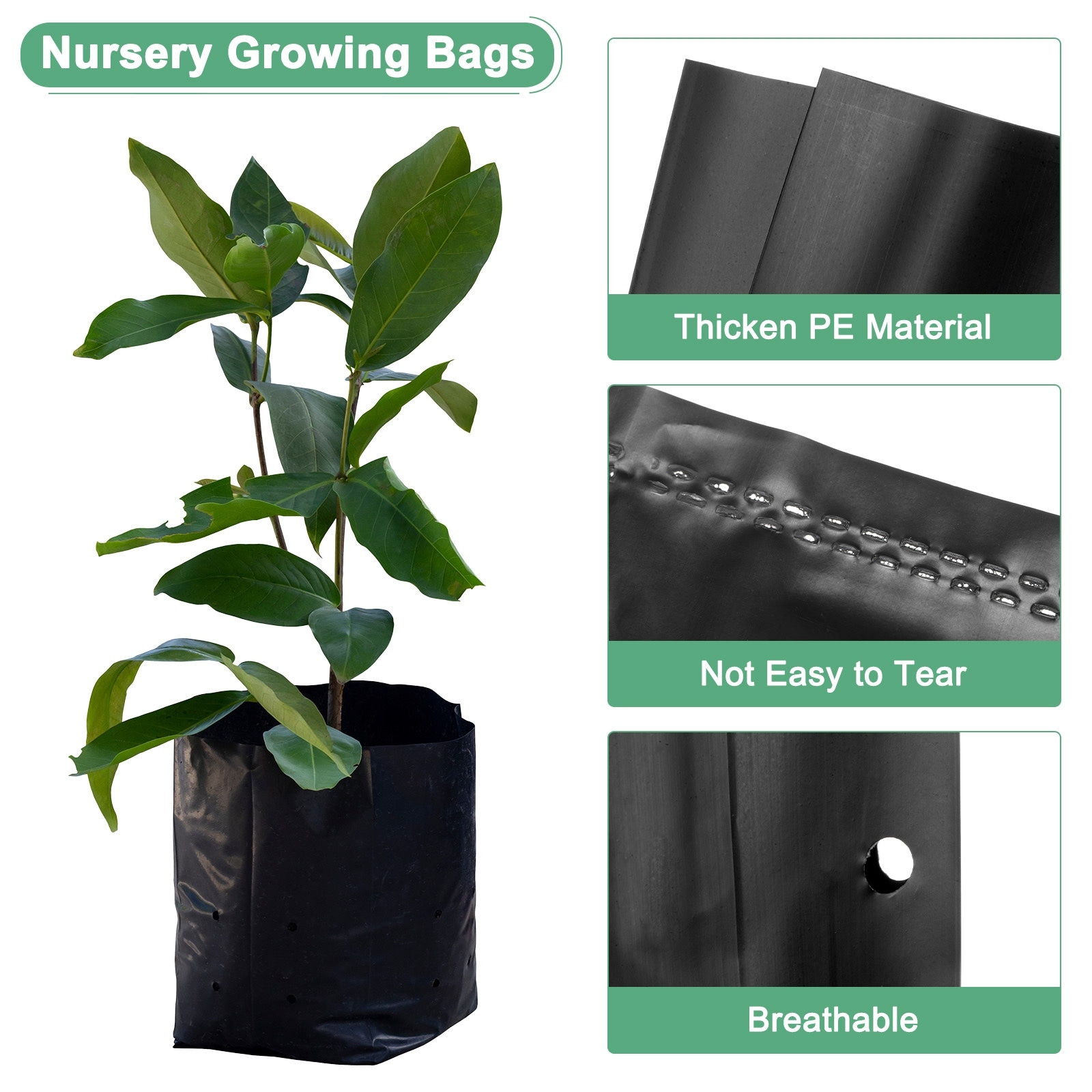 50-Pack Nursery Growing Bags, 9.4" x 12.2 " Thicken PE Nursery Bags [Black] - Black