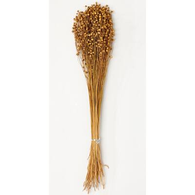 25" Lino Flax Grass Natural, Set of 6 - 25