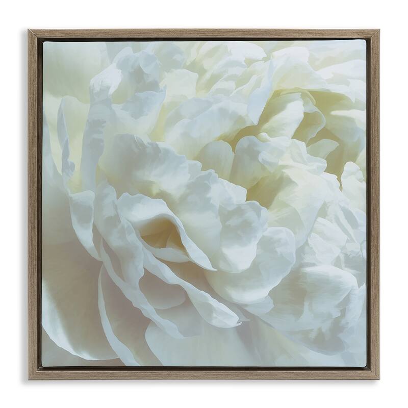 Stupell Elegant White Petals Framed Floater Canvas Wall Art Design By David Pollard - 18 x 18 - Brown