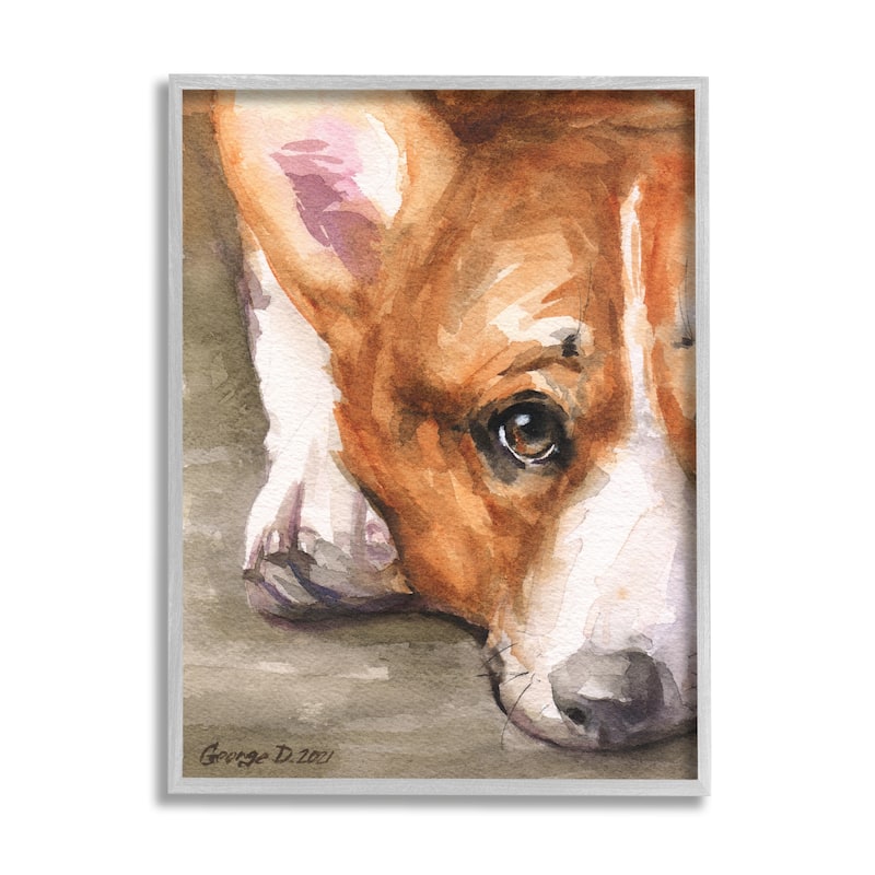Stupell Pleasant Corgi Puppy Dog Gazing Lying Down Framed Wall Art, Design by George Dyachenko - Tan - 24 x 30 - Grey