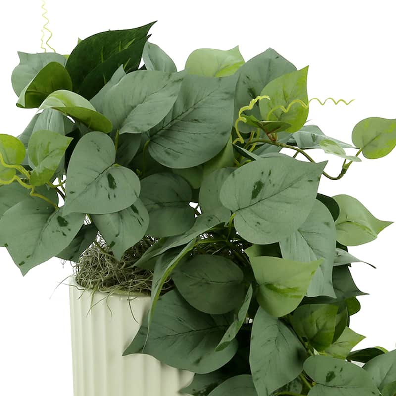 Ivy Arrangement in a Ceramic Vase - Green