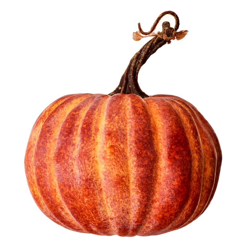 Latex Harvest Vine Pumpkin Set of 2