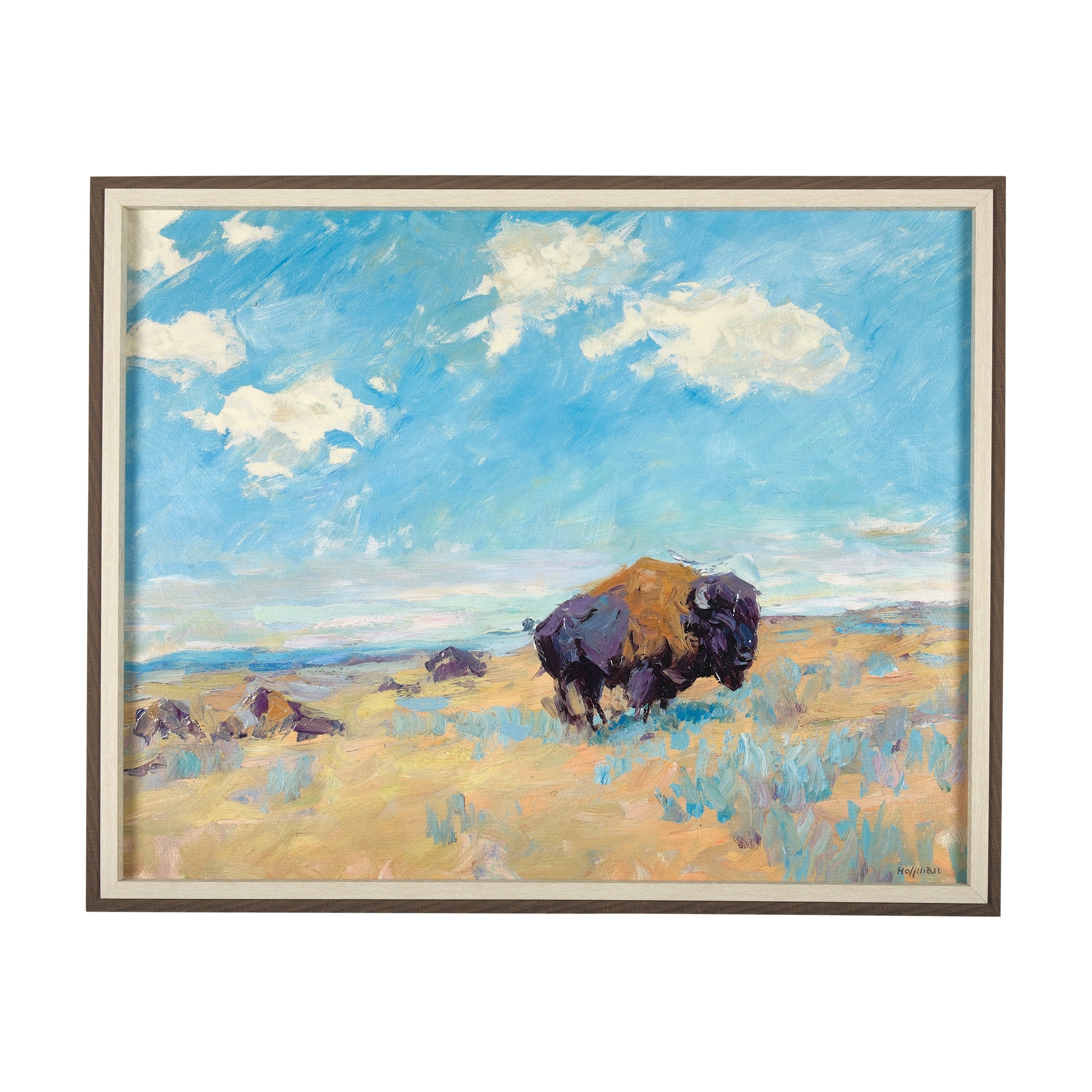 Buffalo by Mercana Studio a Hand Embellished Textured Framed Art Photograph