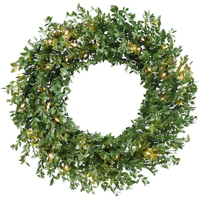 Fraser Hill Farm 24 Boxwood Green Christmas Décor Wreath with Clear LED Lights - 24 in.
