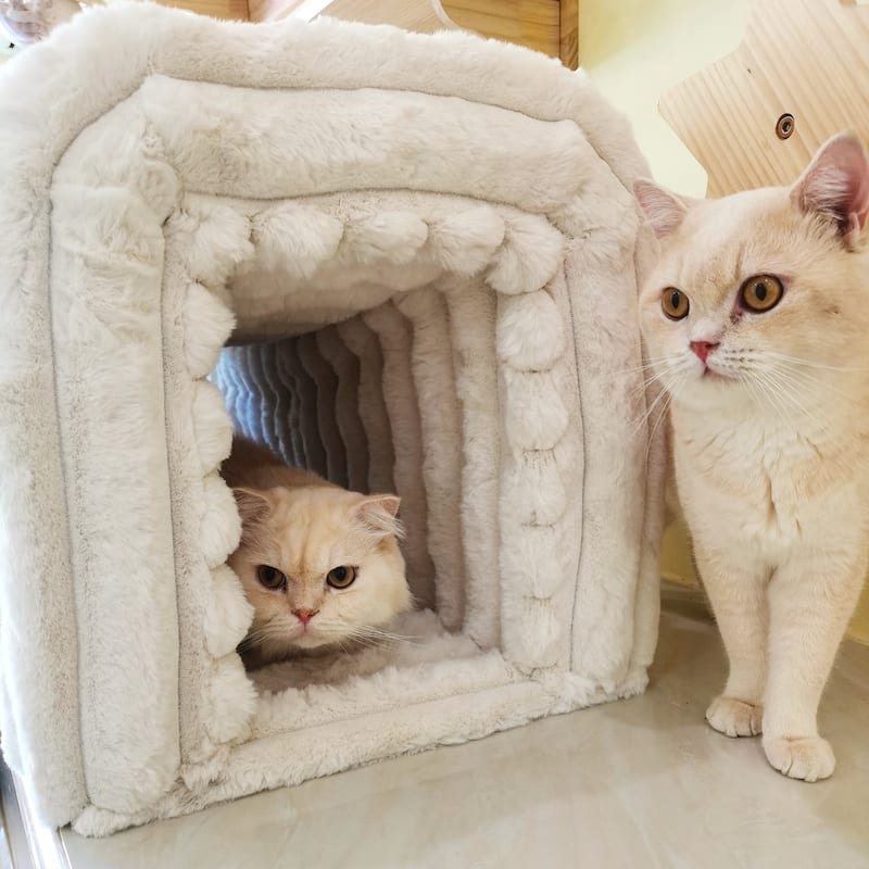 Pet Supplies Ottoman Storage Bench Corduroy Bench Cat's Nest to Hide for the Living Room, Entryway and Bedroom