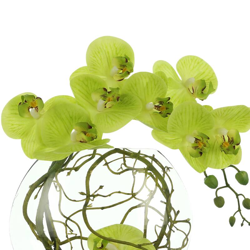 Orchid Floral in Glass Vase