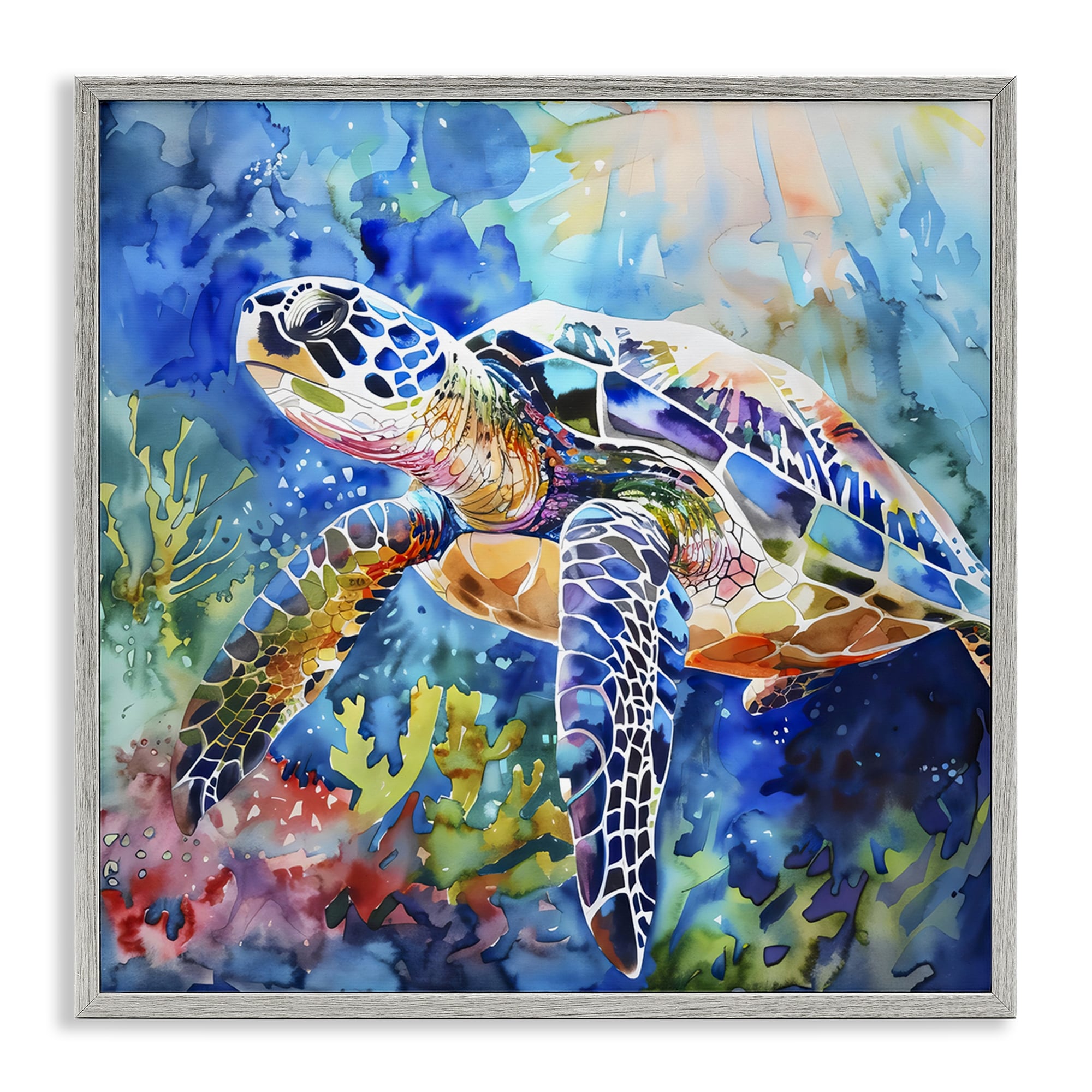 Stupell Rainbow Turtle Reef Framed Giclee Art Design By LSR Creative Studio
