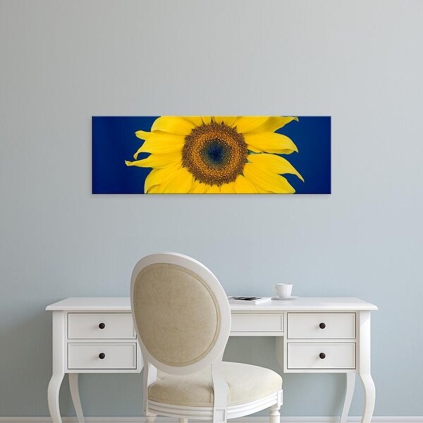 Easy Art Prints Panoramic Images's 'Close