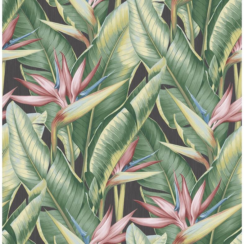 Kenneth James Arcadia Pink Banana Leaf Wallpaper - 20.5in x 396in x 0.025in