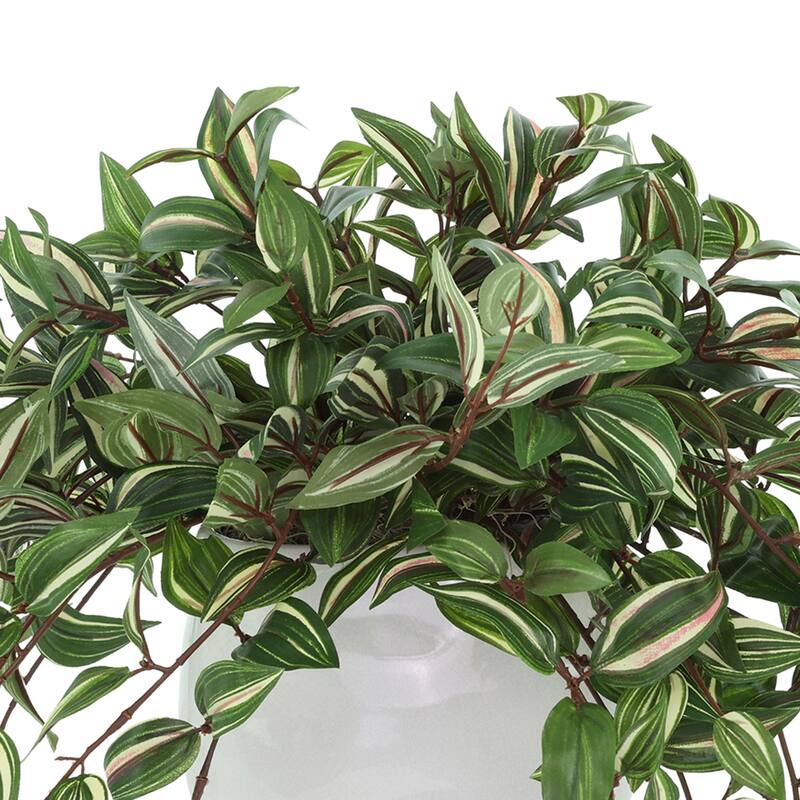 Faux Tradescantia Plant in Ceramic Vase - Green
