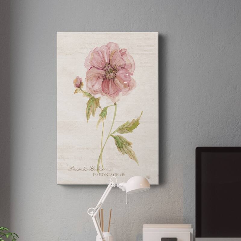 Soft Peony Premium Gallery Wrapped Canvas - Ready to Hang