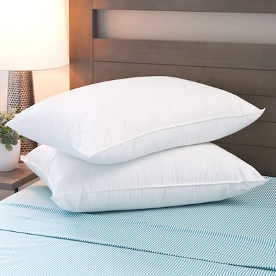 MicronOne Hypoallergenic Pillows (Set of 2) by Cozy Classics - White