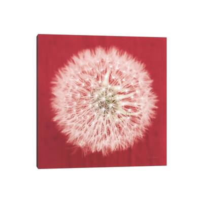 iCanvas "Dandelion on Red I" by Aledanda Canvas Print