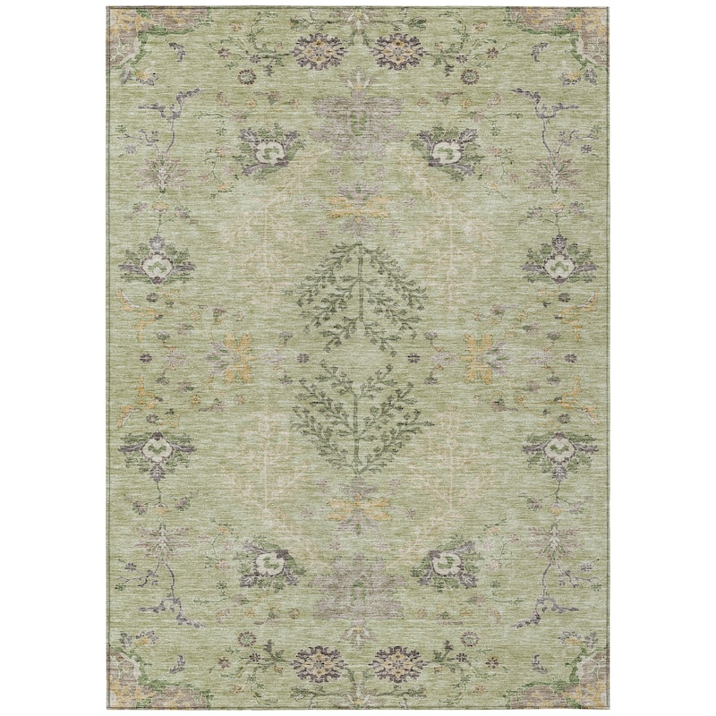 Machine Washable Indoor/ Outdoor Boho Traditional Chantille Rug