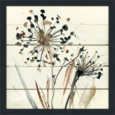 "Natures Lace II" by Carol Robinson Print on Acrylic