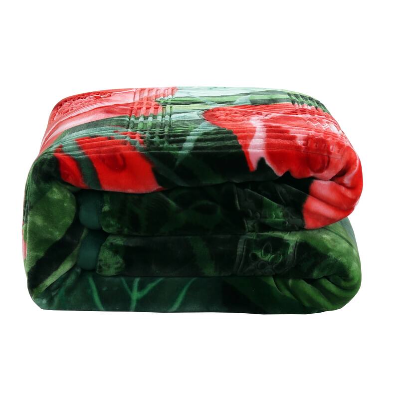 Empyrean Velvet 2 Ply Heavy Reversible Printed Raschel Blanket