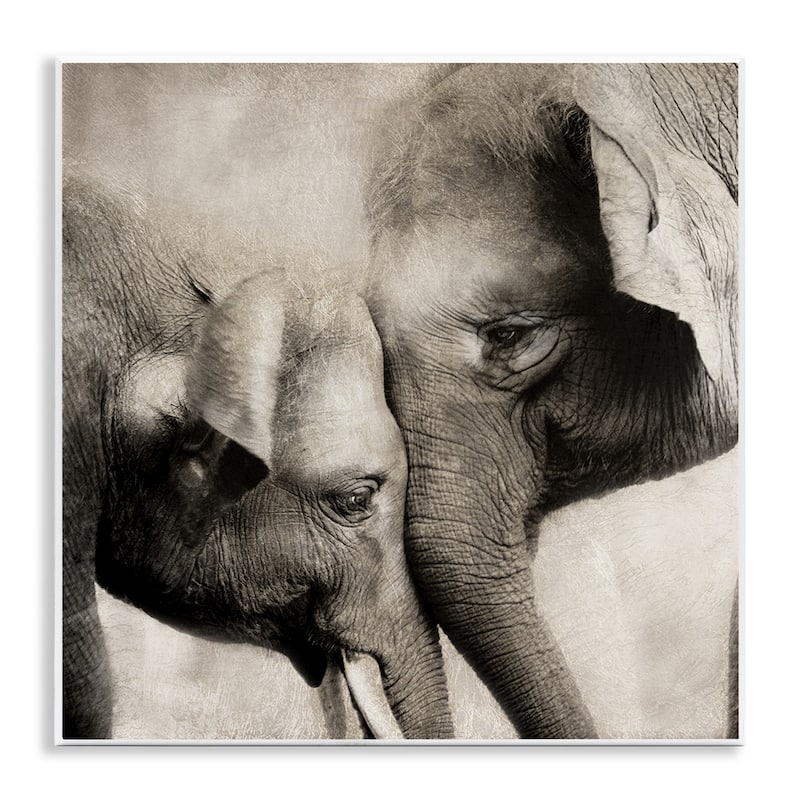 Stupell Elephant & Baby Hug Wall Plaque Art Design By CAD Designs - 12 x 12