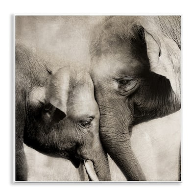 Stupell Elephant & Baby Hug Wall Plaque Art Design By CAD Designs