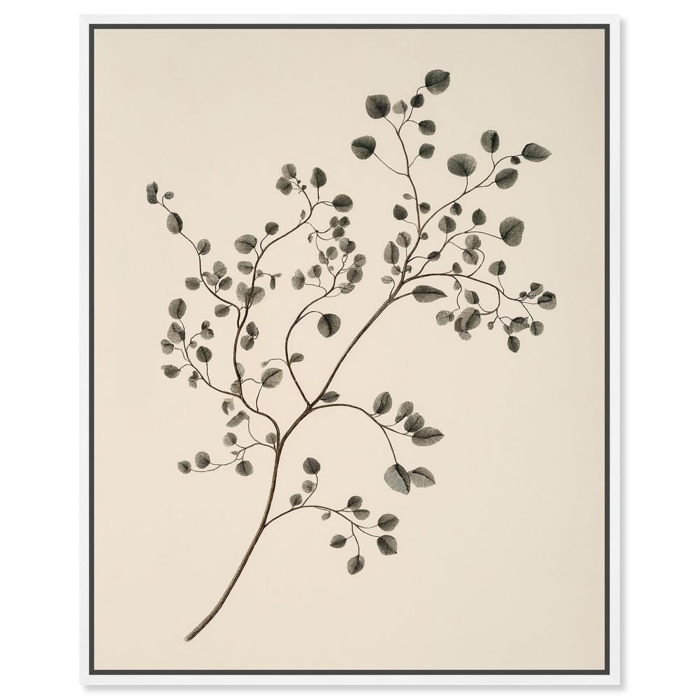 Bilberry Branch Canvas by Art Remedy