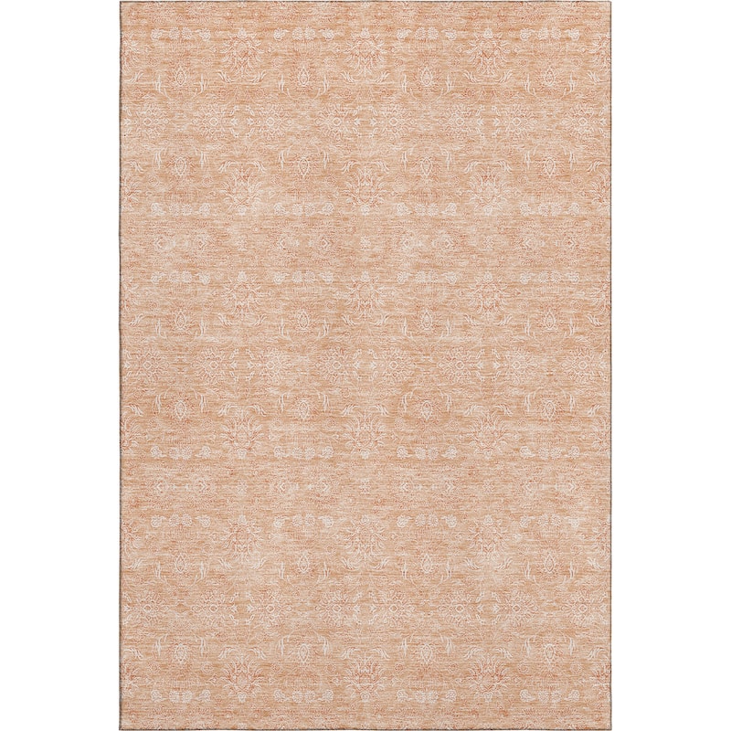 Premium Washable Super Soft Traditional Borderless Mayfield Rug