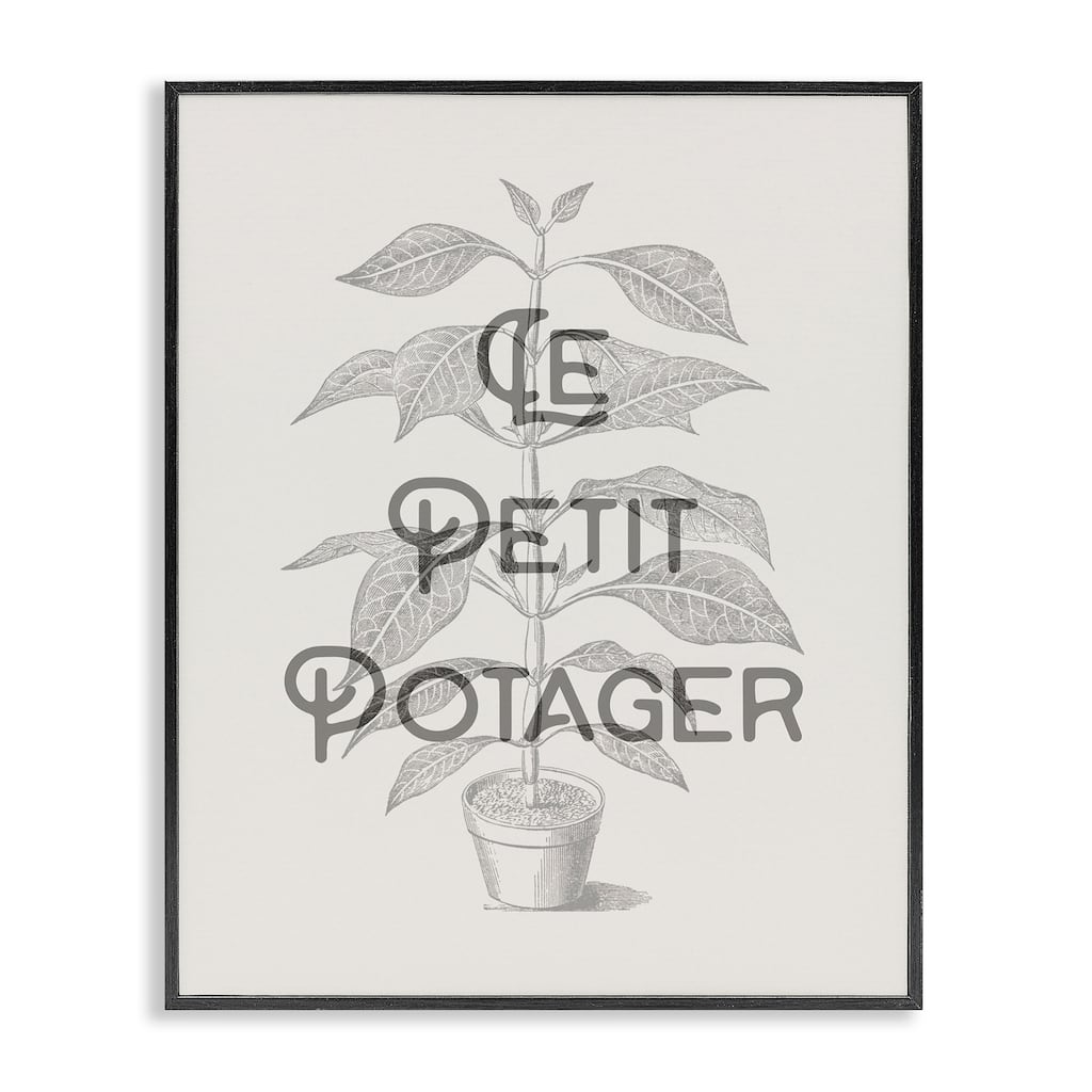 Stupell Vintage French Plant Phrase Framed Giclee Art Design By Lil' Rue