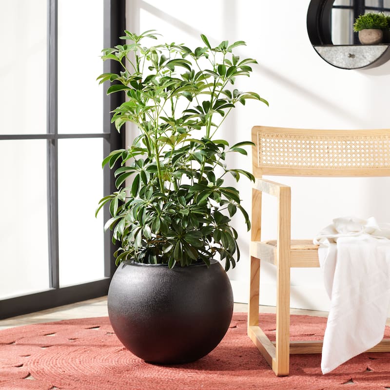 SAFAVIEH Outdoor Gerand Black Planter. - 16"Wx16"Dx13"H - Black