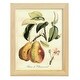 preview thumbnail 135 of 138, Printed Tuscan Fruits IV -Framed Print w/glass-Cherry Red 9x11 - Natural
