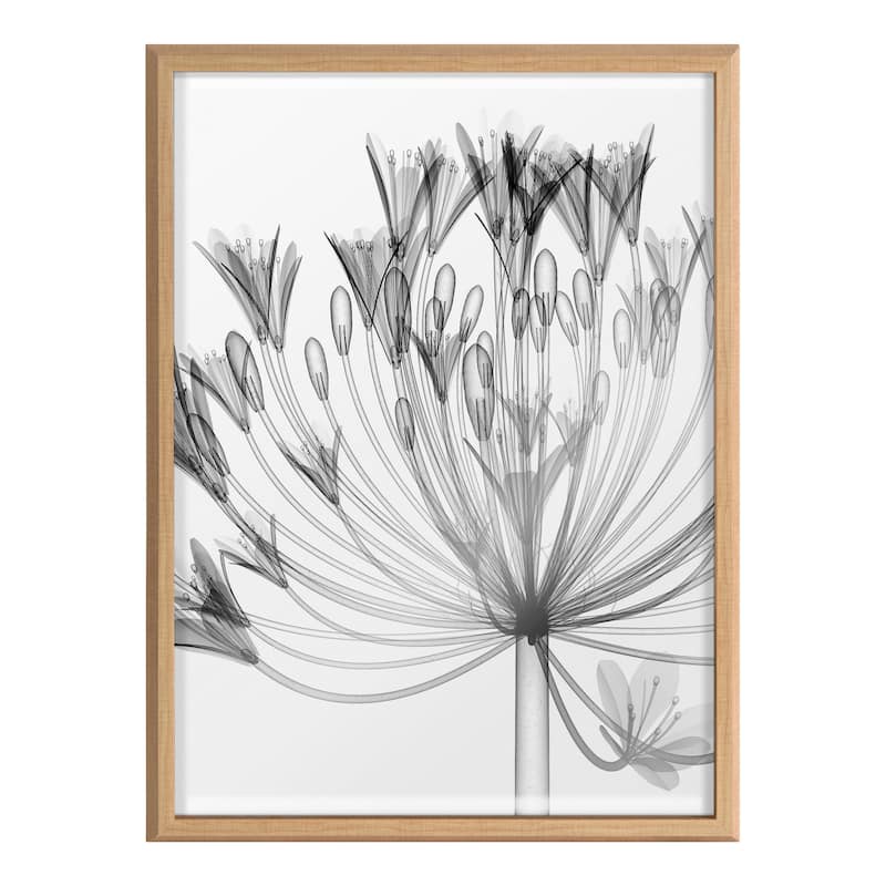 Kate and Laurel Blake Agapanthus Printed Art by Creative Bunch Studio