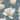 Veer Decor Grand Magnolia Wallpaper