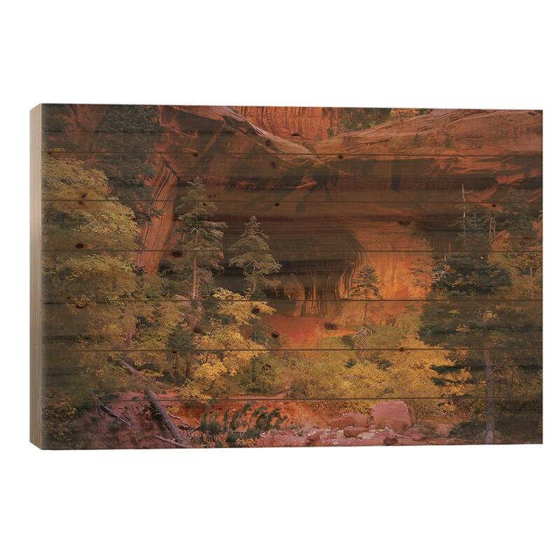 Trees in front of a cave, Zion National Park, Utah, USA Print On Wood by Panoramic Images - Multi-Color - 26x40x1.5