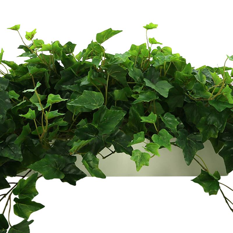 Traditional Ivy Arrangement in Planter