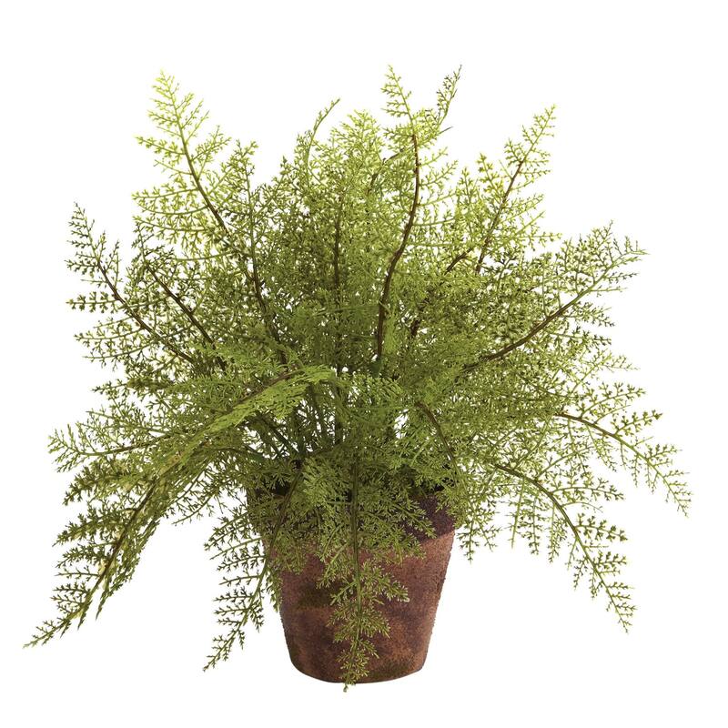 Decorative Fern Plant Set - 2 Baroque Faux Plants in Planters - Home Office Decor - 1ft.