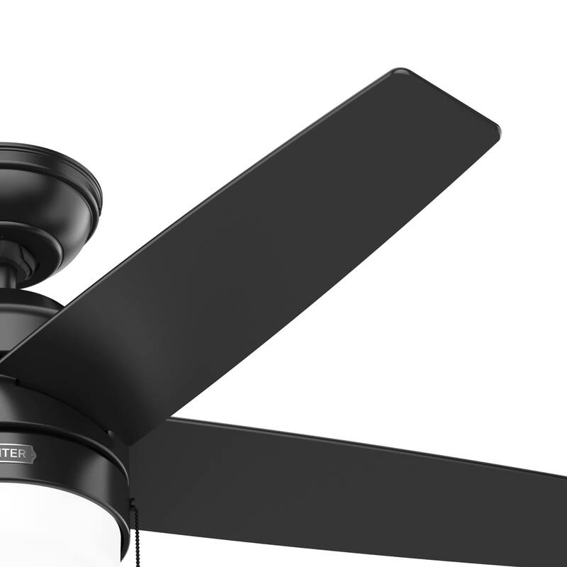 Hunter Bardot Ceiling Fan with LED Light Kit and Pull Chain, Modern, Contemporary, Transitional
