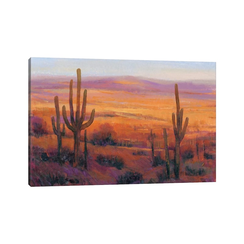 iCanvas "Desert Light II" by Tim OToole Canvas Print
